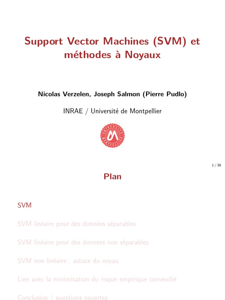 SVM et Risque Empirique par Nicolas Verzelen | PDF | Optimisation ...