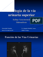 Fisiología de la vía urinaria superior: reflujo vesicoureteral e hidronefrosis