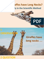 Why Do Giraffes Have Long Necks?