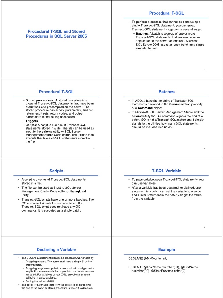 T-SQL Variables and Procedures Overview | PDF | Parameter (Computer ...