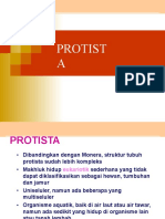 Bab Protist (Print)