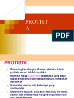 PROTISTA