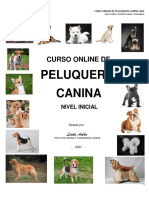 Guía de Peluquería Canina Inicial - 2021