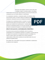 Desarrollo Efectos Globales PDF