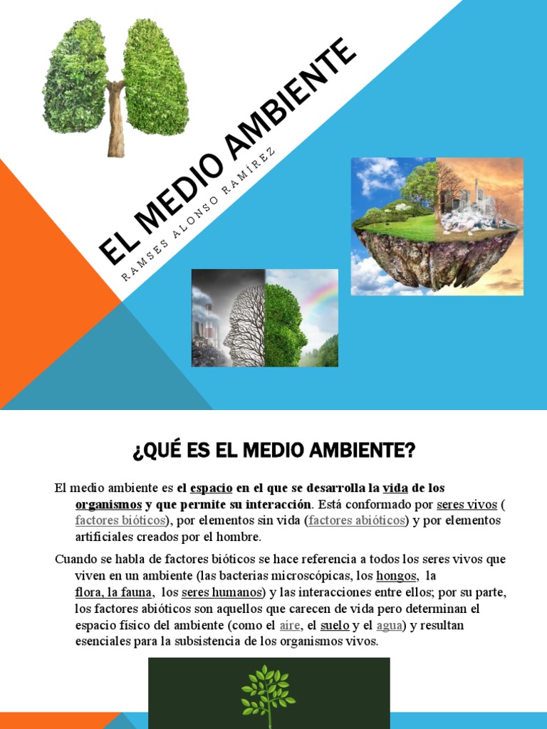 Cuidado del Medio Ambiente para Niños | PDF | Entorno natural | Organismos