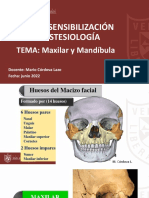 Maxilar y Mandíbula Anestesia 2022 AV