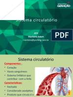 Anatomia - Circulatório