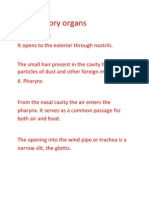 Respiratory Organs