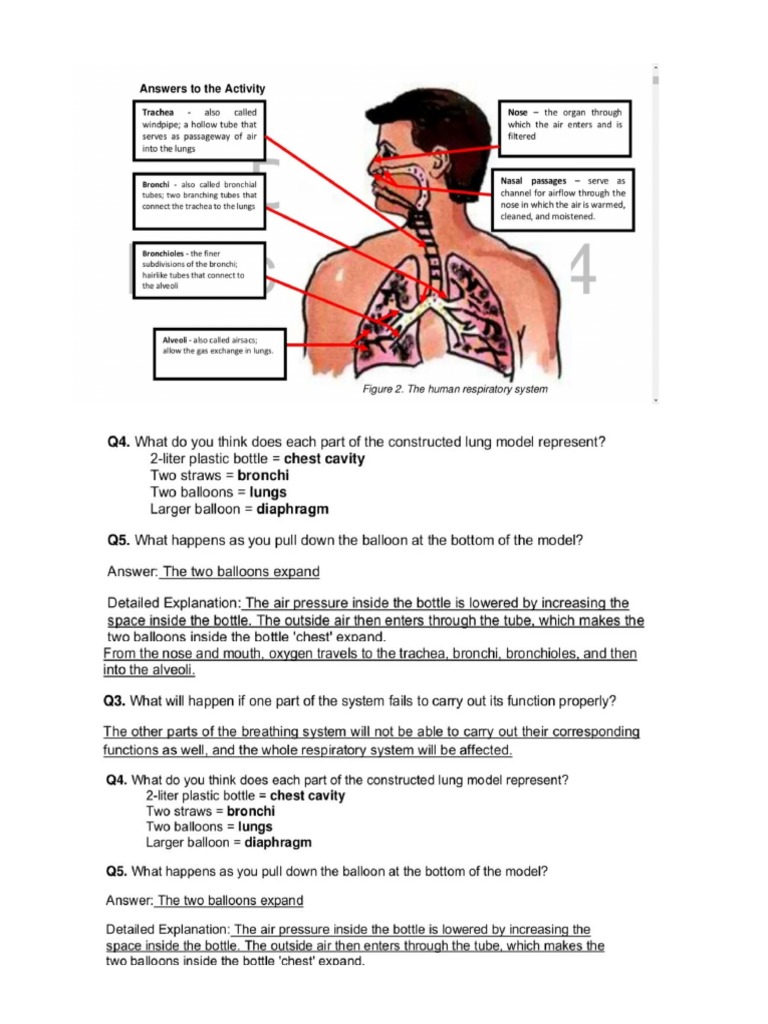 Science 9 Teachers Guide | PDF