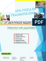 Fisioterapia Del Adulto y Adulto Mayor Actual