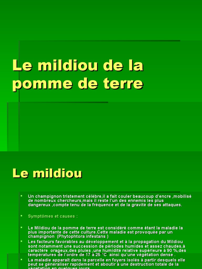 Traitement du mildiou sur pomme de terre PDF Fongicide Pomme de terre — free download