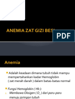 Anemia Zat Gizi Besi