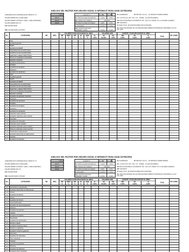 Análisis FSRM y Cotizaciones IMSS | PDF | Tecnología