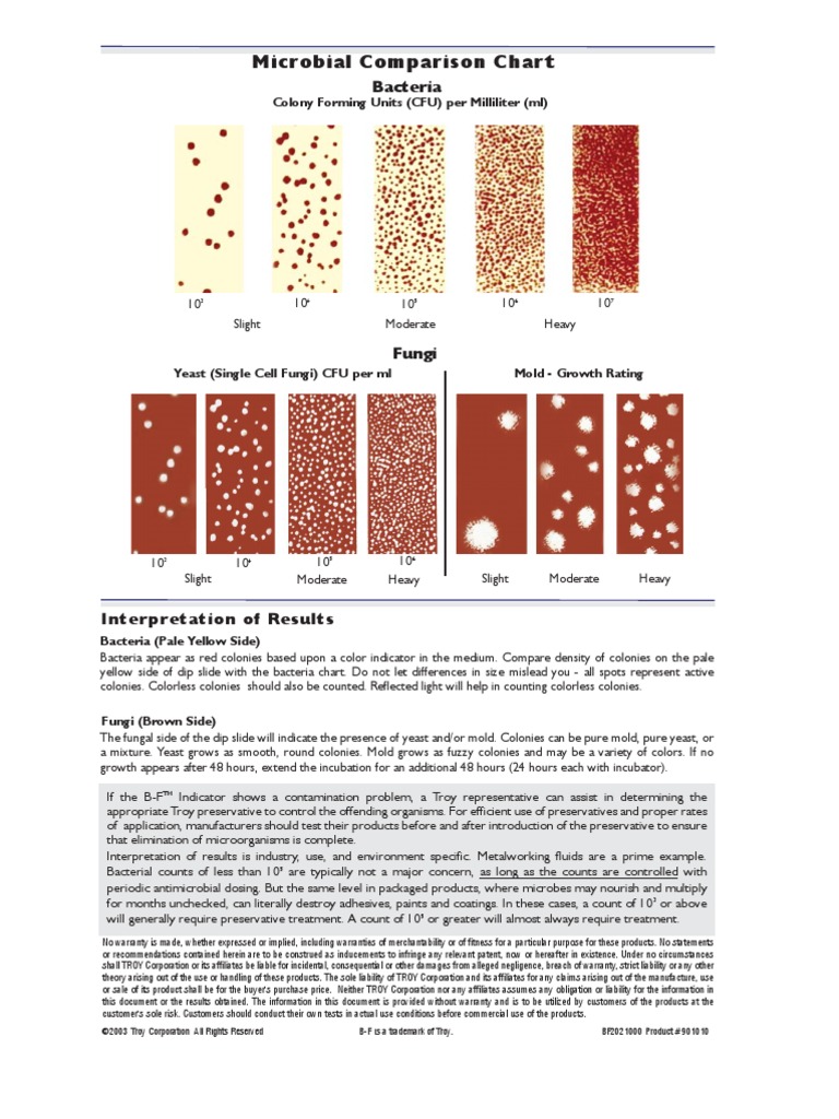 Dip Slide PDF Colony Forming Unit Mold