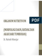 Organum Nutritivum