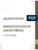 MORFOLOGI ORGANUM NUTRITIVUM