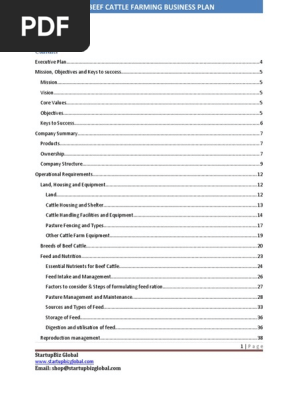 Beef Cattle Farming Business Plan