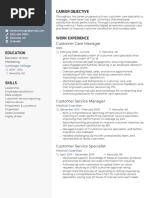 Customer Service Manager Resume Example