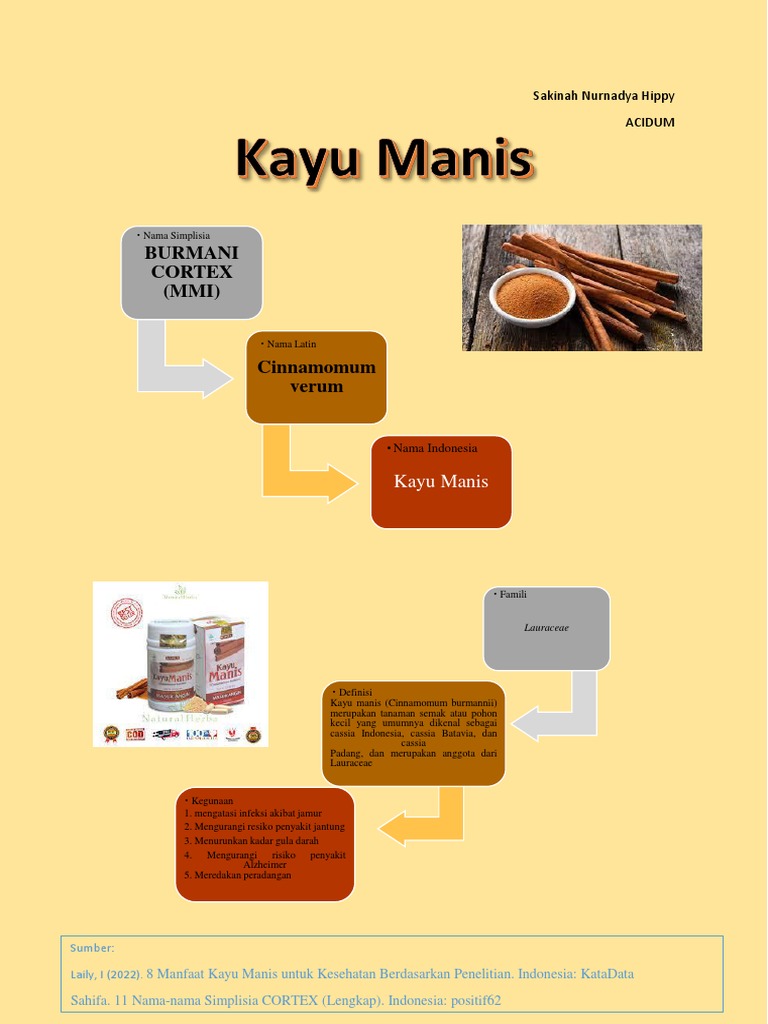 01-sakinah-nurnadya-hippy-kayu-manis-pdf