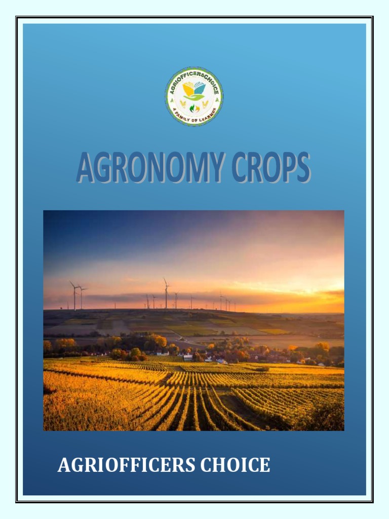 Cereal Crops PDF Barley Rice