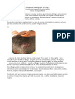 Atividade de Estudo de Caso Dermatologia