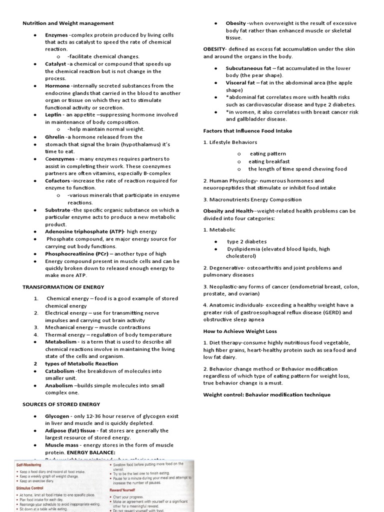 Nutrition and Weight Management PDF Adipose Tissue Eating