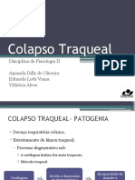 Colapso Traqueal - Fisio II