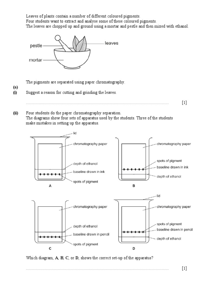 Grass Pigment Analysis via Chromatography | PDF | Chemistry