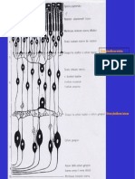 Fisica Ottica - 20