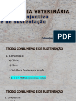 Tecido conjuntivo e sustentação histologia 40