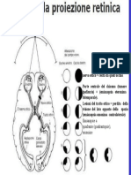 Fisica Ottica - 37