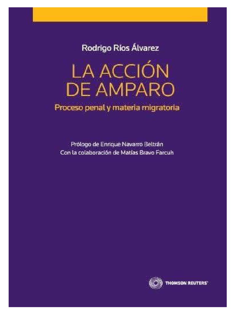 La Accion de Amparo 22222 | PDF | Habeas corpus | Caso de ley
