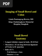 Download Imaging of Small Bowel and Colon by Rapid Surgeon SN59065380 doc pdf