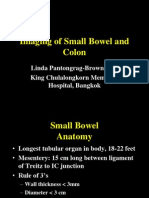 Imaging of Small Bowel and Colon