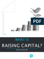 What Is Raising Capital