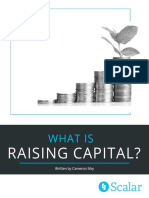 What Is Raising Capital