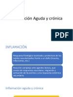 c1 - Inflamación Aguda y Crónica