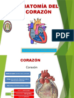 8 Anatomia Corazon