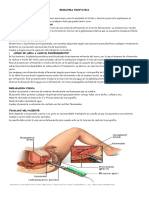 Ecogafria Prostatica