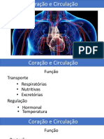 4 Coração e Circulação