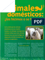 Animalesdomesticoloshicimososehicieron