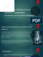 Fenómenos Eléctricos en El Entorno