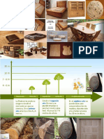 Paulownia valor agregado rápido crecimiento absorción CO2