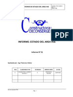 Informe HSE 01 Laryssa