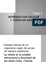 TEMA 2 REPRODUCCION CELULAR Y HERENCIApptx