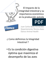 El Impacto de La Integridad Intestinal y Su Importancia Economica en Produccion Avicola - Noviembre 2011