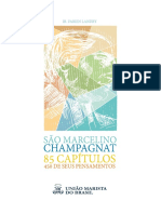 São Marcelino Champagnat: educador e fundador