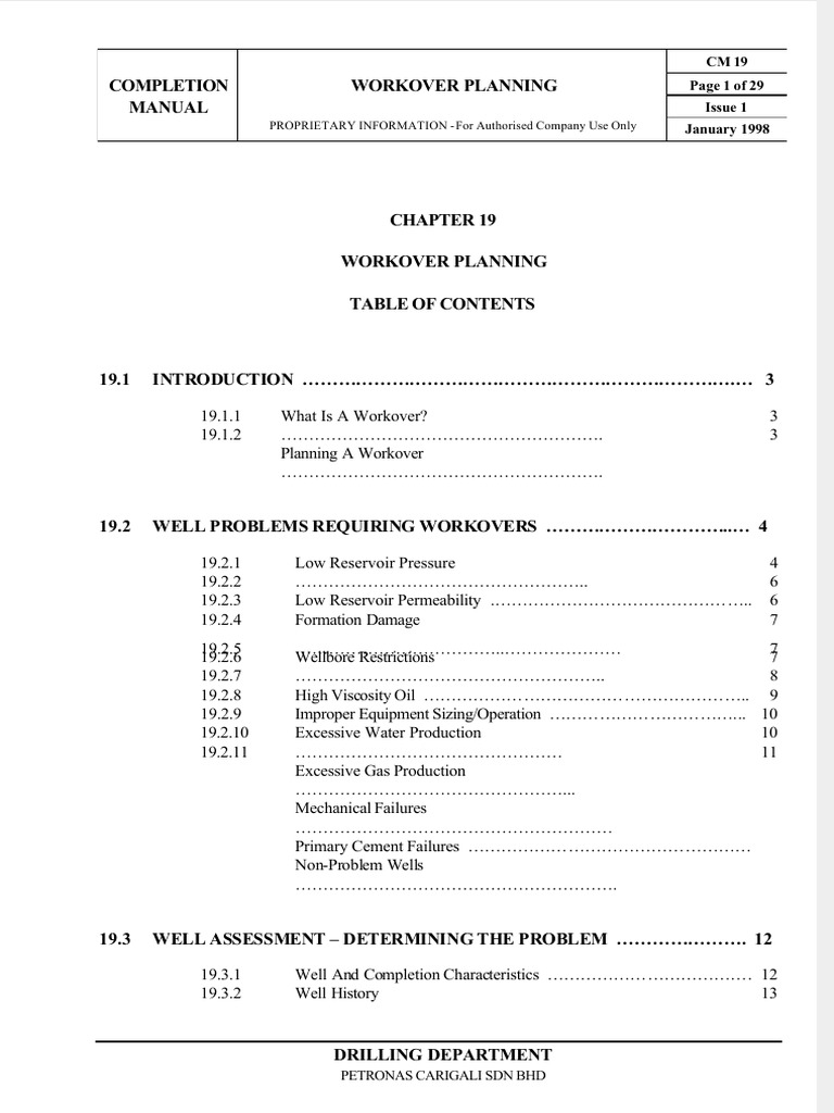 Workover Planning Guidelines | PDF | Petroleum Reservoir | Casing ...