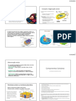 Aula 2 Resumo para Estudantes