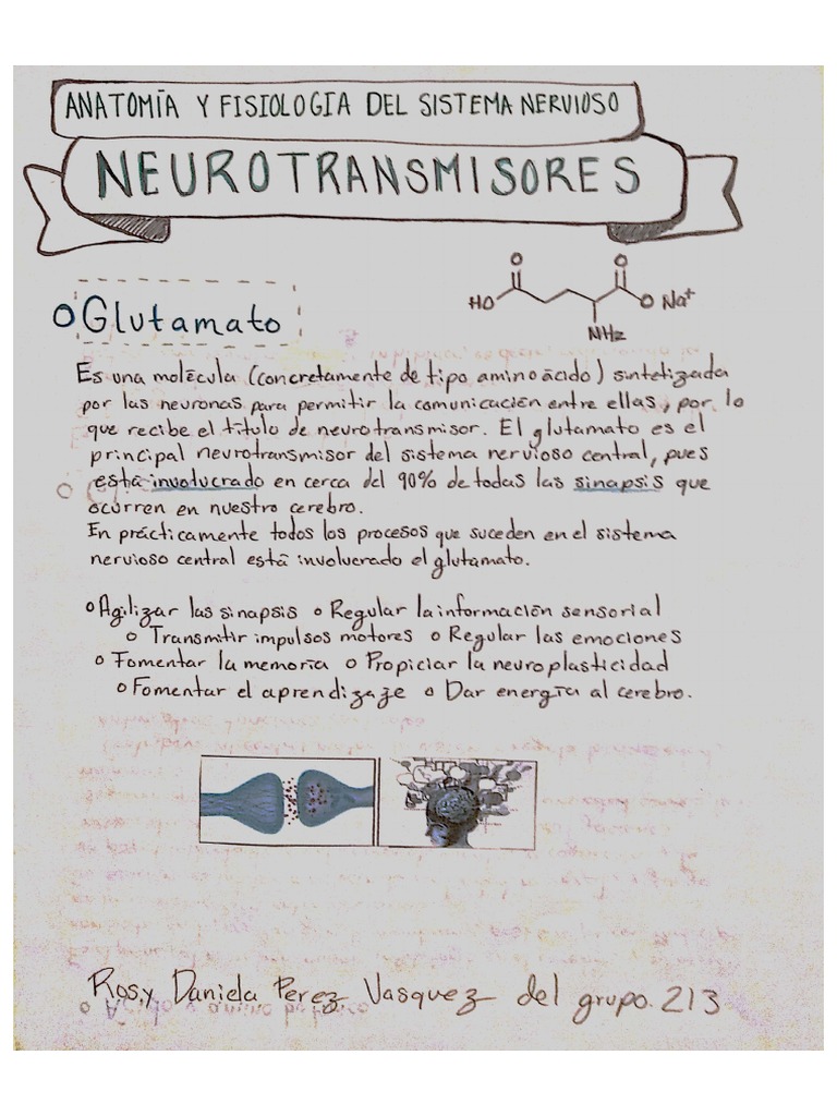 Neurotransmisores PDF